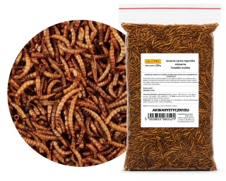 Suszone larwy mącznika 200g – dla ryb, gadów, ptaków (Tenebrio molitor)
