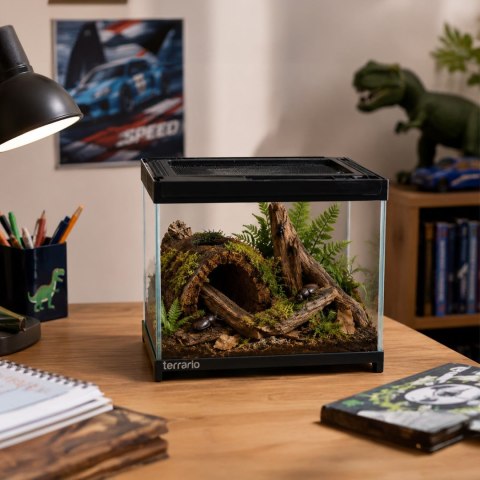 Terrario Frevo Clear Terrarium 20x20x17cm - terrarium szklane