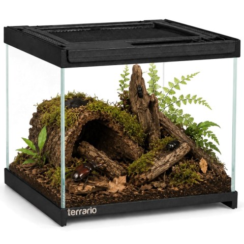 Terrario Frevo Clear Terrarium 20x20x17cm - terrarium szklane
