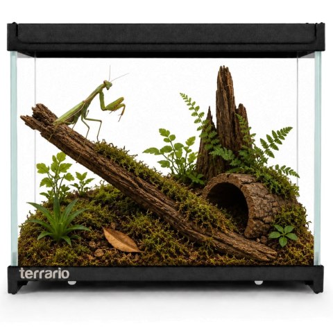 Terrario Frevo Clear Terrarium 20x20x17cm - terrarium szklane