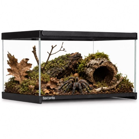 Terrario Frevo Clear Terrarium 30x20x17cm - terrarium szklane