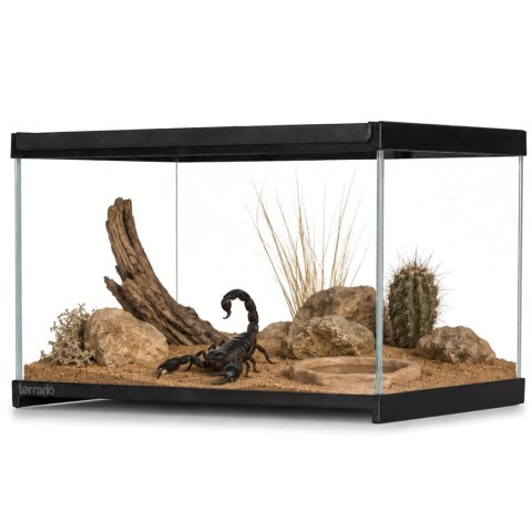 Terrario Frevo Clear Terrarium 30x20x17cm - terrarium szklane