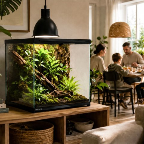 Terrario Frevo Clear Terrarium 30x30x30cm - terrarium szklane