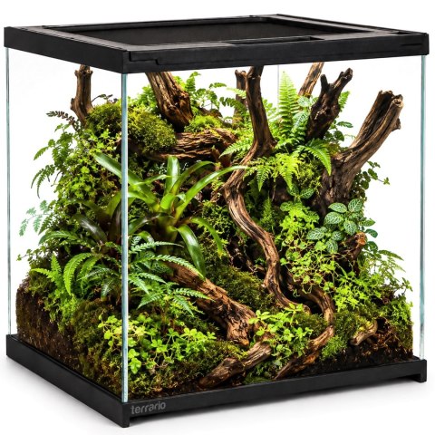 Terrario Frevo Clear Terrarium 30x30x30cm - terrarium szklane