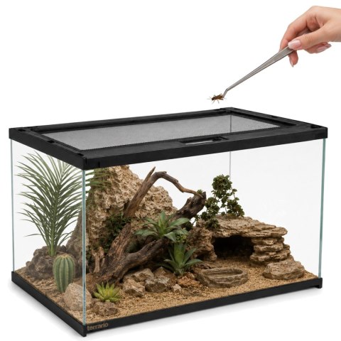 Terrario Frevo Clear Terrarium 50x30x30cm - terrarium szklane