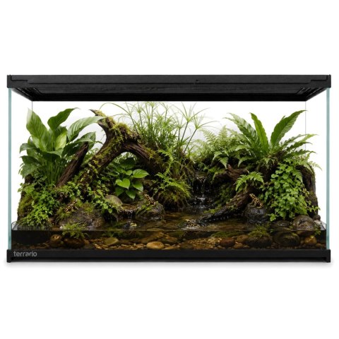 Terrario Frevo Clear Terrarium 50x30x30cm - terrarium szklane