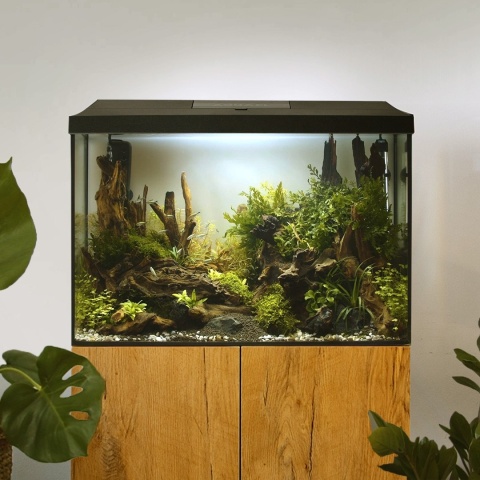 Akwarium 72l z wyposażeniem i szafką Czarne 60x30x125 cm - zestaw na start