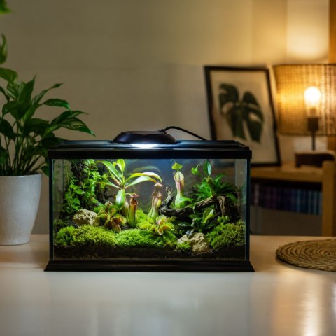 Terrario Nanoray Mini LED 6W - oświetlenie do terrarium 3w1