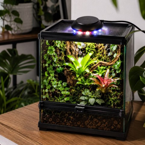 Terrario Nanoray Mini LED 6W - oświetlenie do terrarium 3w1