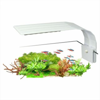Wycofane Lampa AquaLED Nano white 7W