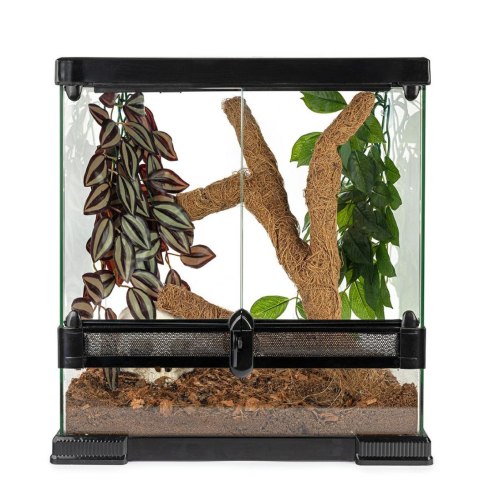 Happet Kokosowa gałąź Troncho M 60 cm elastyczna gałąź do terrarium