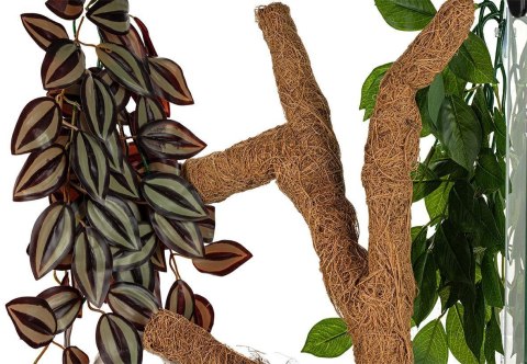 Happet Kokosowa gałąź Troncho M 60 cm elastyczna gałąź do terrarium