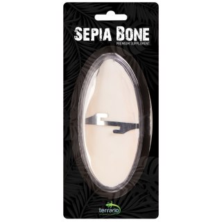 Terrario Sepia Bone naturalna sepia z wapniem dla żółwia ok. 12 cm