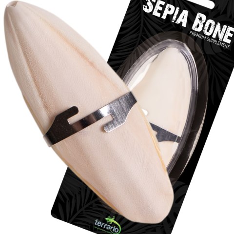 Terrario Sepia Bone naturalna sepia z wapniem dla żółwia ok. 12 cm