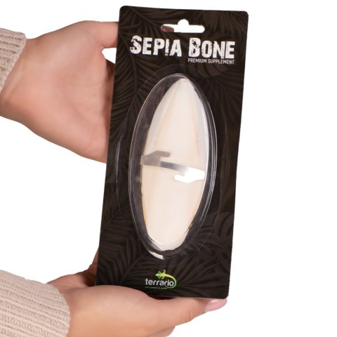 Terrario Sepia Bone naturalna sepia z wapniem dla żółwia ok. 12 cm