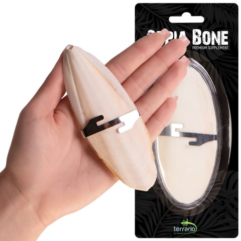 Terrario Sepia Bone naturalna sepia z wapniem dla żółwia ok. 12 cm