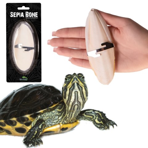 Terrario Sepia Bone naturalna sepia z wapniem dla żółwia ok. 12 cm