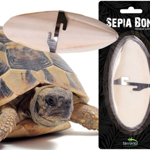 Terrario Sepia Bone naturalna sepia z wapniem dla żółwia ok. 12 cm