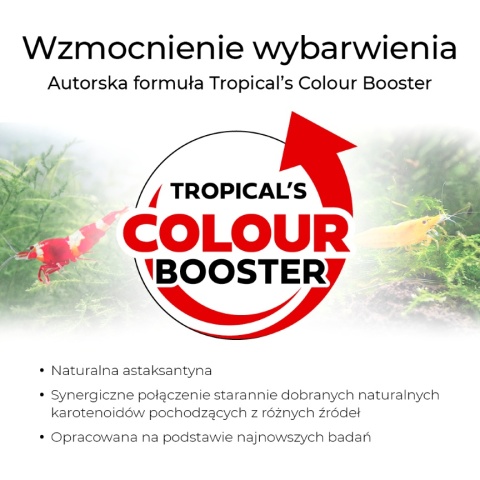 Tropical Shrimp-UP! Breeding & Colour 10g pokarm dla krewetek