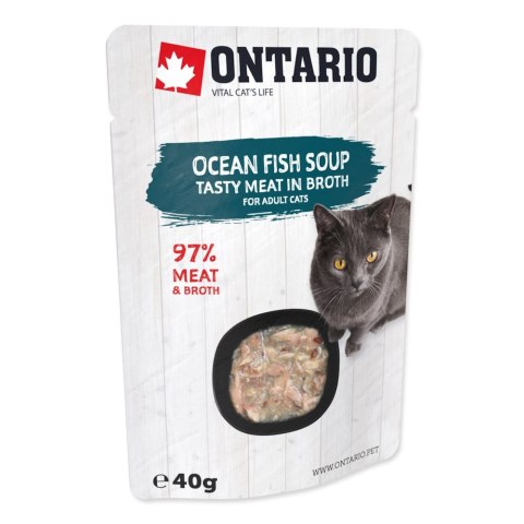ONTARIO Cat Soup Ocean Fish with vegetables 40g (213-3174)