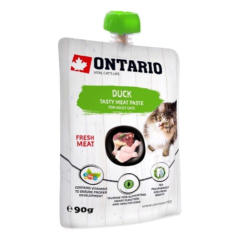 ONTARIO Duck Fresh Meat Paste 90g (213-52913)