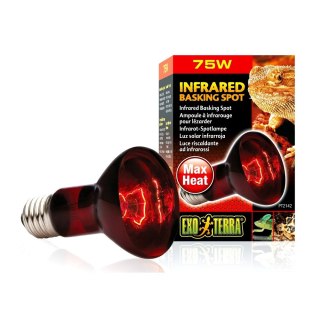 EXOTERRA Żarówka Infrared Basking Spot R20/75W (PT2142)