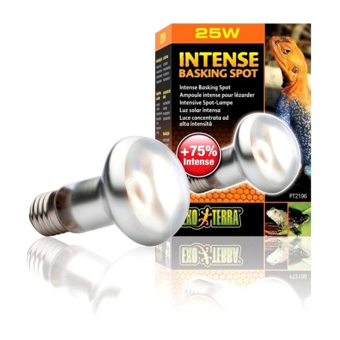 EXOTERRA Żarówka Intense Basking Spot 25W (PT2196)