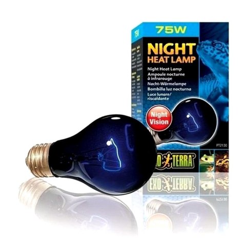 EXOTERRA Żarówka Night Heat Lamp A19/75W (PT2130)