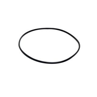 FLUVAL Uszczelka silnika, O-ring 304/404, 305/405, 306/406, 307/407 - A20063 (0636)