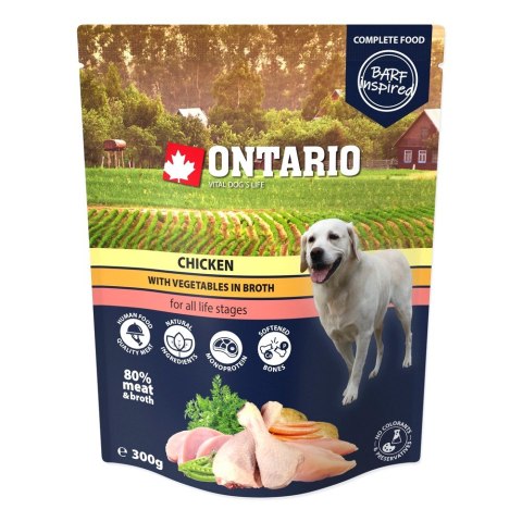ONTARIO Saszetka Kurczak z warzywami w bulionie 300g (214-3333)
