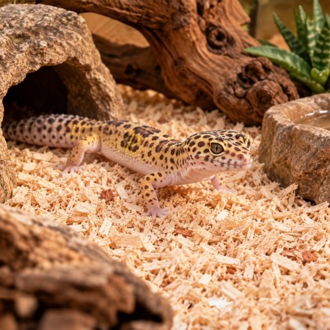 Terrario Krau Wildlife 10l - drobne włókno drewniane