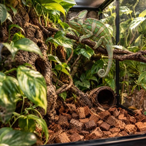 Terrario Negro Rainforest 15l - podłoże zrębki kokosa