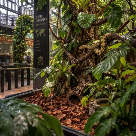 Terrario Negro Rainforest 15l - podłoże zrębki kokosa