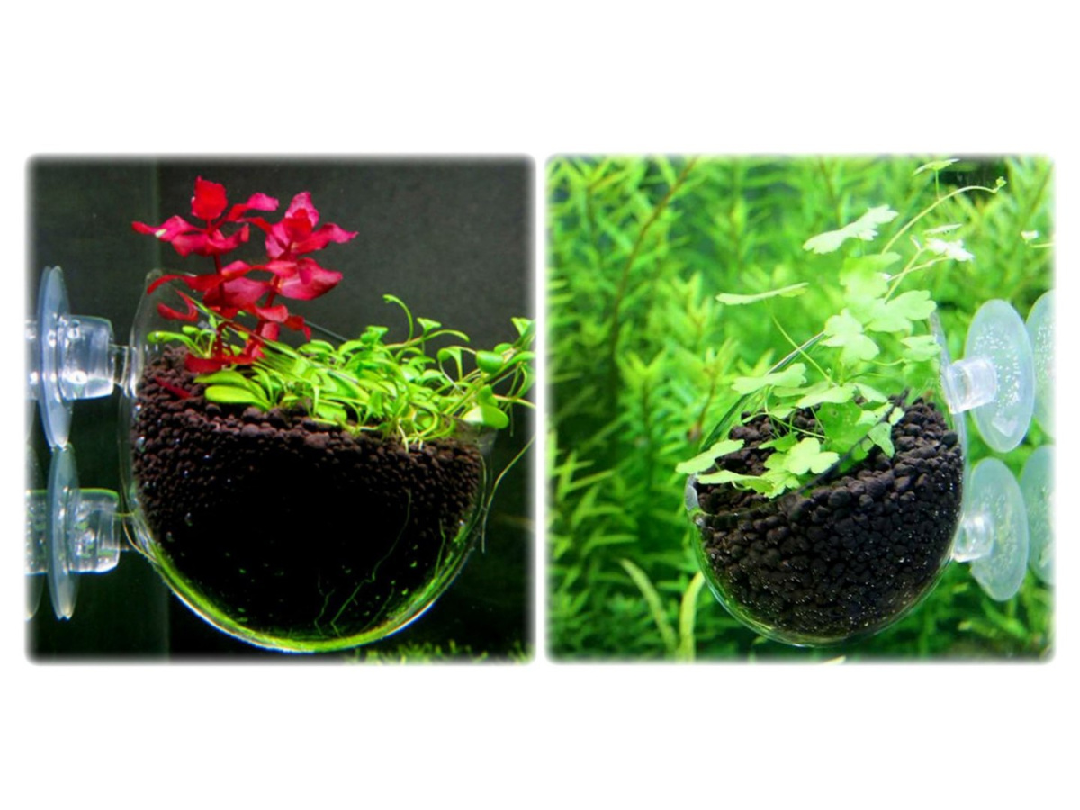 AQUA GLASS doniczka na rośliny PP1 z przyssawkami