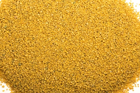 AQUAEL Aqua Decoris Żwirek Żółty 2–3 mm 1 kg - podłoże do akwarium