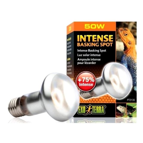 EXOTERRA Żarówka Intense Basking Spot 50W, 63mm (PT2135)