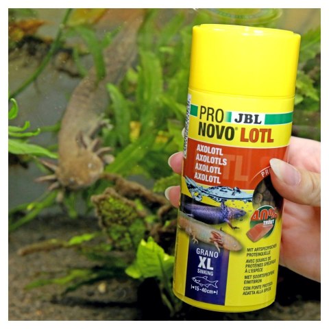 JBL *** PRONOVO LOTL GRANO XL 250ML (2077196)