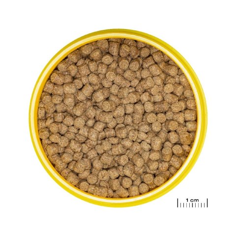 JBL PRONOVO LOTL GRANO M 250ML pokarm dla rybek akwariowych (2077189)