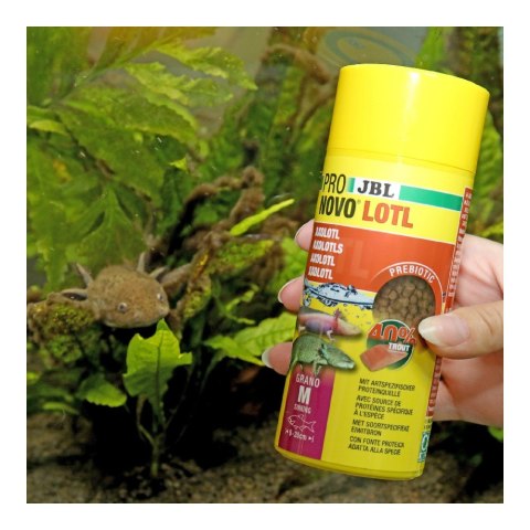 JBL PRONOVO LOTL GRANO M 250ML pokarm dla rybek akwariowych (2077189)