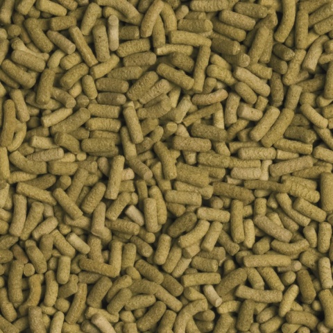 Tropical Birept L 500 ml – pokarm dla żółwi lądowych z trawami i ziołami