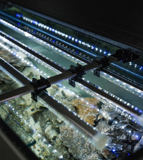 AQUAEL GLOSSY ST 80 Day & Night czarny – zestaw akwariowy 125 l z oświetleniem LED 2 × 14 W, Safe Tank