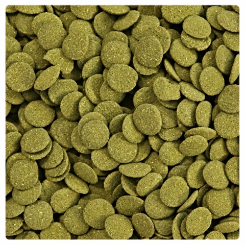 GLOPEX Algen Wafers 1kg karma dla ryb dennych, kirysów, bocji, glonojadów