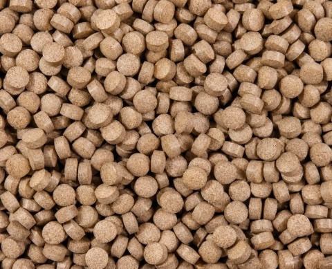 Glopex Meal Shrimps Tablet 100g energetyczny pokarm dla krewetek z cyklopem