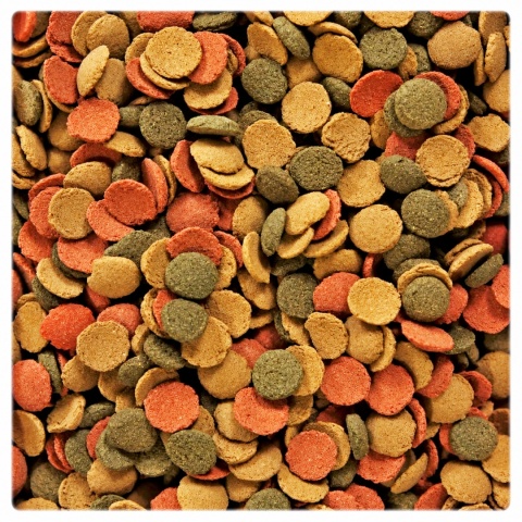 Glopex Small Wafers 100 g – pokarm dla ryb dennych, kirysów, glonojadów
