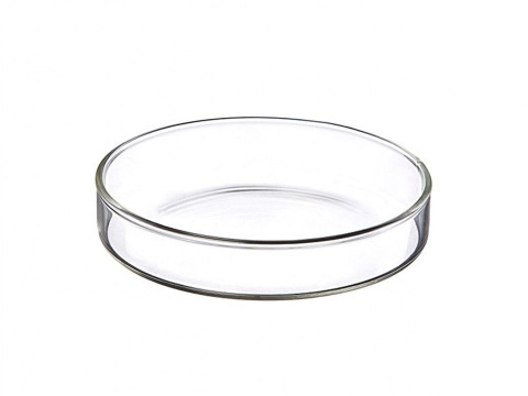 Szklana miska karmnik dla krewetek akwariowych Rozmiar: 7 (95x14mm)