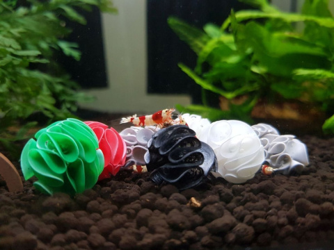 BABY BEE SHRIMP SHELTER schronienie - mix 5szt BABY BEE SHRIMP SHELTER schronienie - mix 5szt