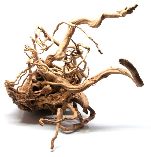 Korzeń DRIFTWOOD naturalny DUŻY 56x35x35cm #00 Korzeń DRIFTWOOD naturalny DUŻY 56x35x35cm #00