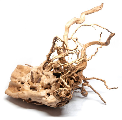 Korzeń DRIFTWOOD naturalny DUŻY 56x35x35cm #00 Korzeń DRIFTWOOD naturalny DUŻY 56x35x35cm #00