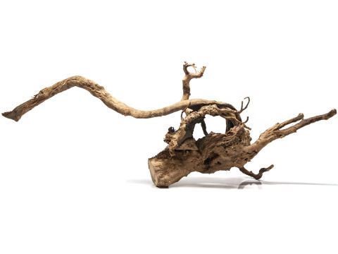 Korzeń DRIFTWOOD naturalny DUŻY 70x16x26cm #00 Korzeń DRIFTWOOD naturalny DUŻY 70x16x26cm #00