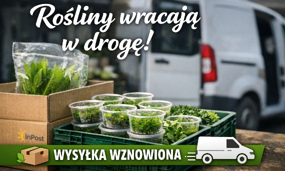 Wznowienie wysyłki zamówień z żywymi roślinami
